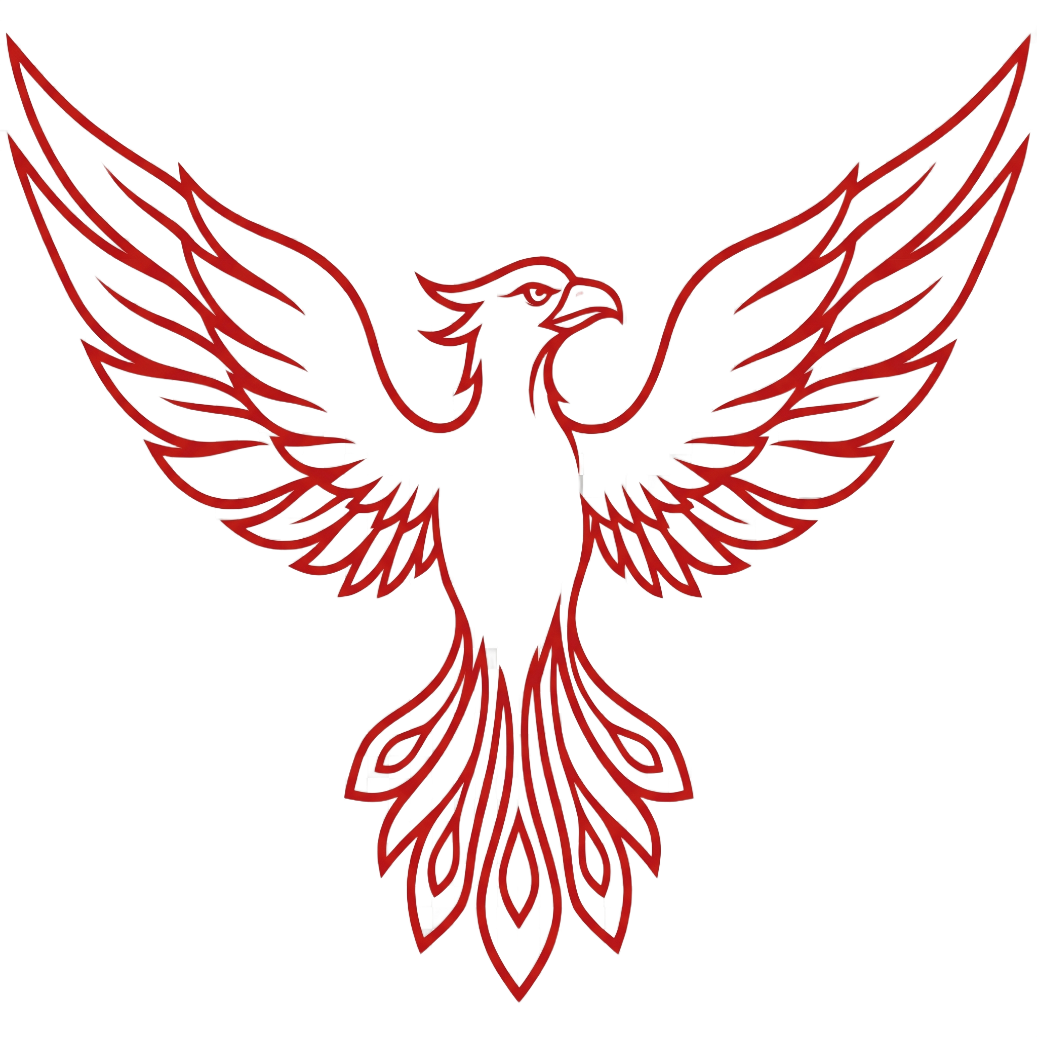 Firelands Space & Defense Systems phoenix mark
